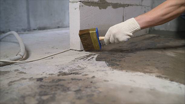 SJ Waterproofing Pros Crawl Space Encapsulation coverage map for Shelby, IN and surrounding area